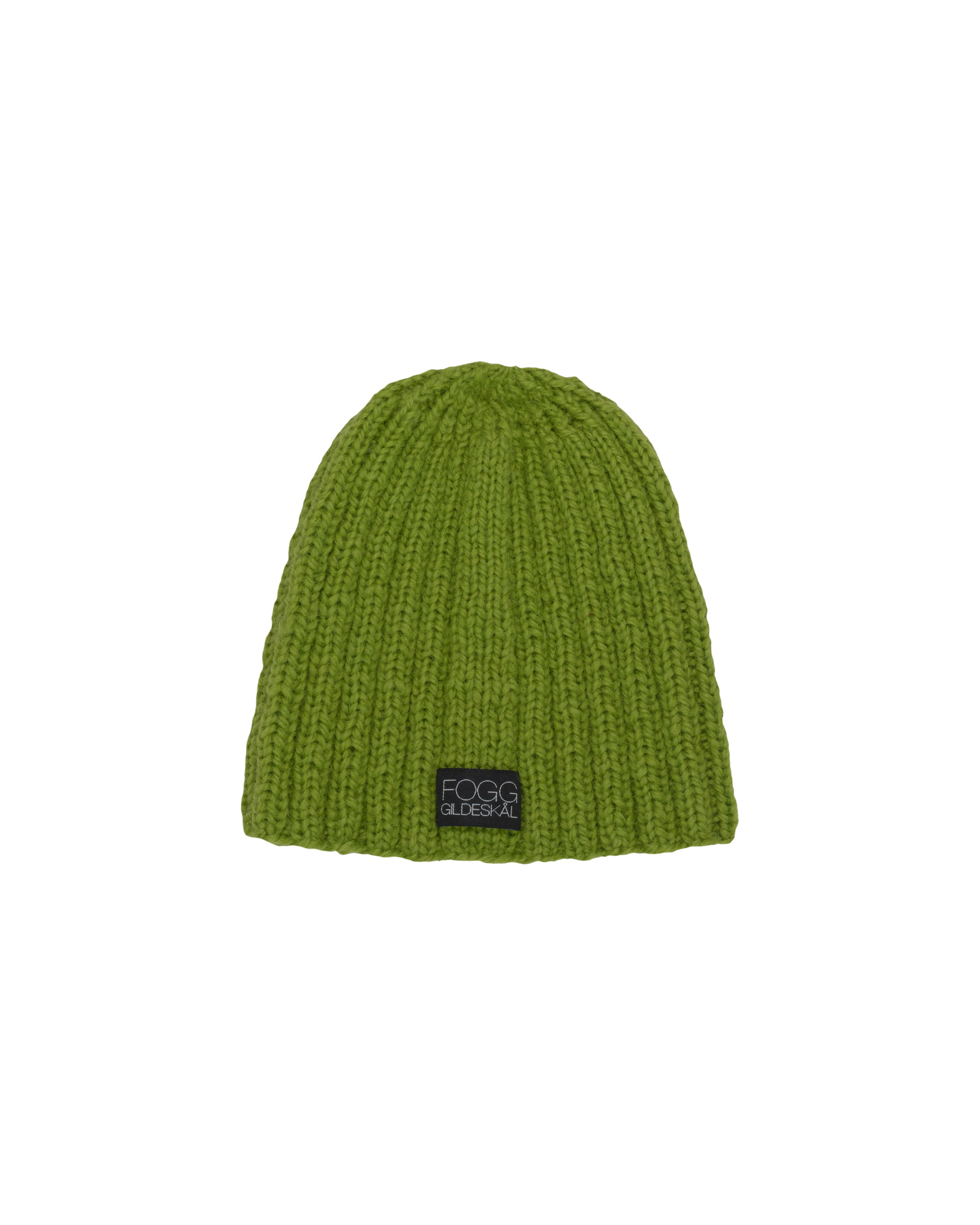 Beanie T – Northern Lights Green – FOGG Gildeskål